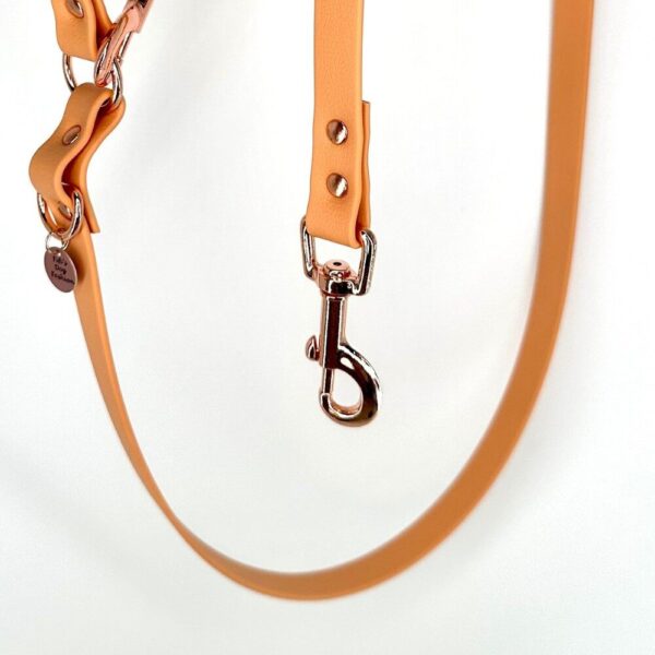 Biothane Hondenlijn Tan