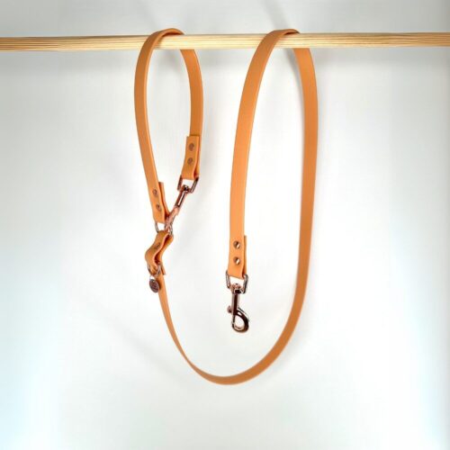 Biothane Hondenlijn Tan