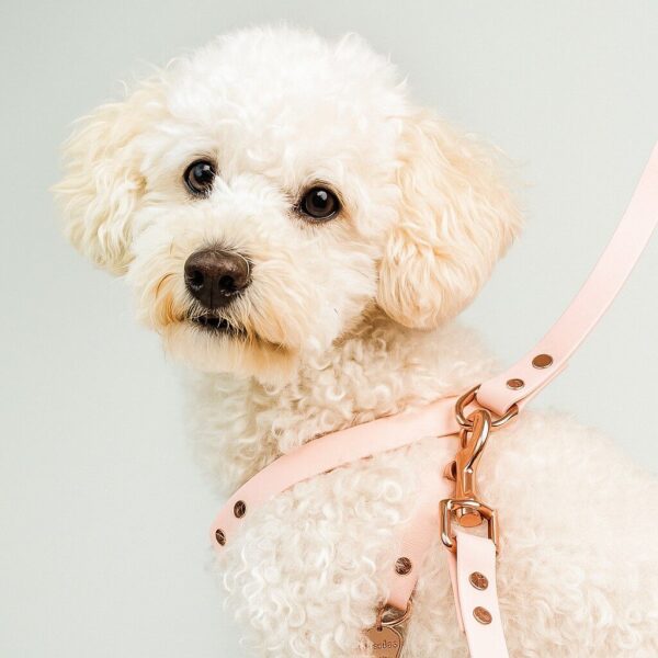 Biothane Hondenlijn Roze