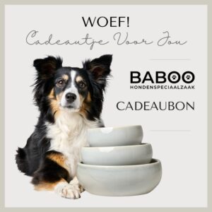 BABOO Cadeaubon Digitaal 15 euro
