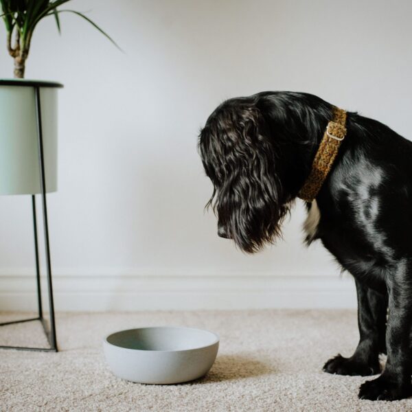 Voerbak BAMBOO Lichtgrijs