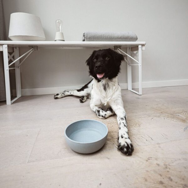 Voerbak BAMBOO Lichtgrijs