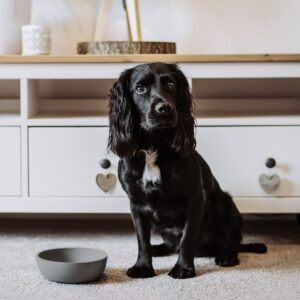 Voerbak BAMBOO Lichtgrijs