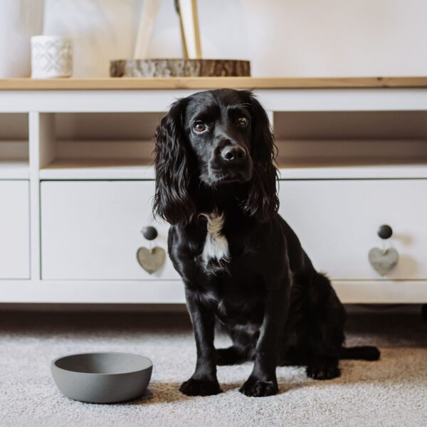 Voerbak BAMBOO Lichtgrijs