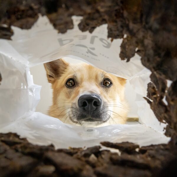 Pala - Gedroogd Vlees - Kip & Zalm