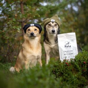 Pala - Gedroogd Vlees - Rund & Zalm