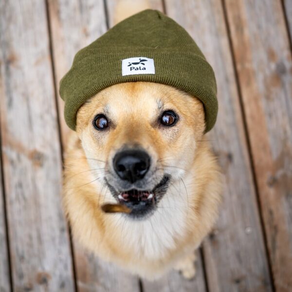 Pala - Gedroogd Vlees - Rund & Zalm