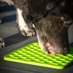 Likmat Honingraat Groen