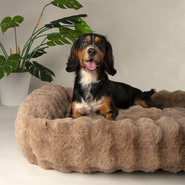 Fluffy Hondenmand Bruin