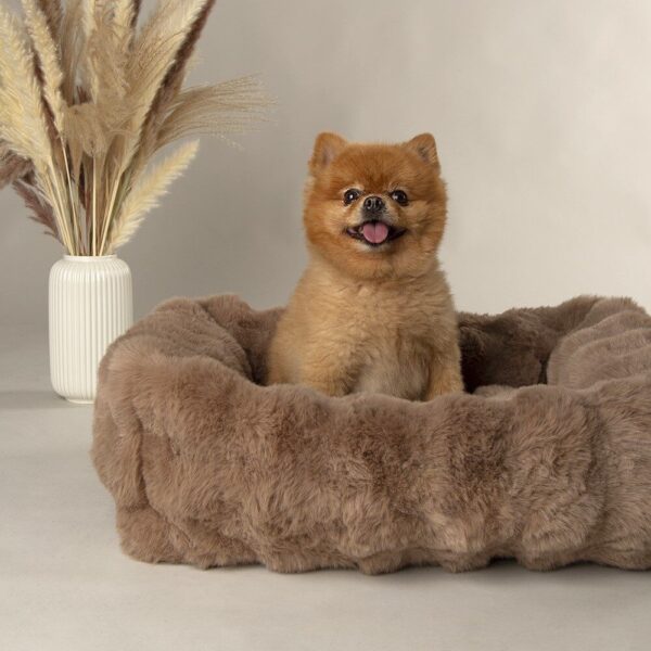 Fluffy Hondenmand Bruin