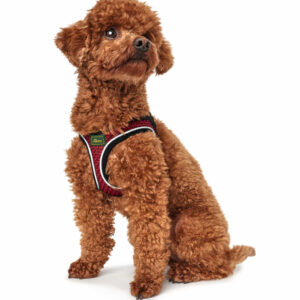 Hondentuig Hilo Rood