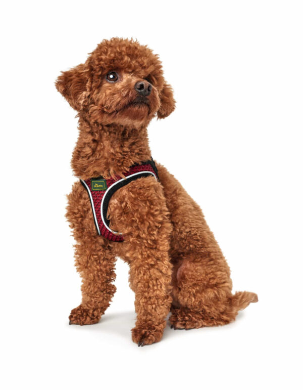 Hondentuig Hilo Rood