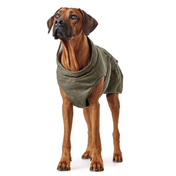 Hondenjas Khaki