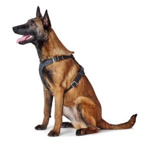 Leren Hondentuig Zwart