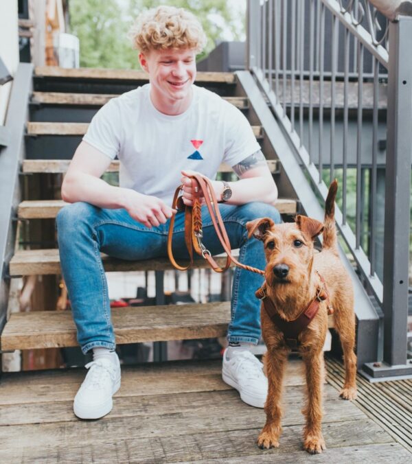 Leren Hondentuig Cognac