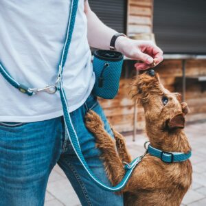 Beloningstas Hilo Turquoise