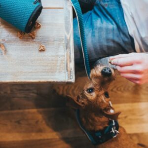 Beloningstas Hilo Turquoise