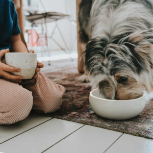 Keramische Voerbak Wit