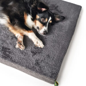 Orthopedische Hondenmat Tirano