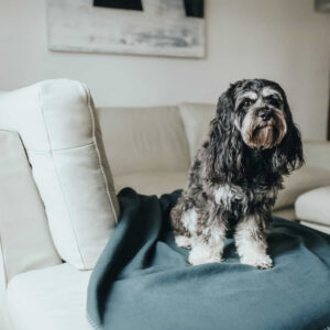 Fleece Hondendeken Antraciet