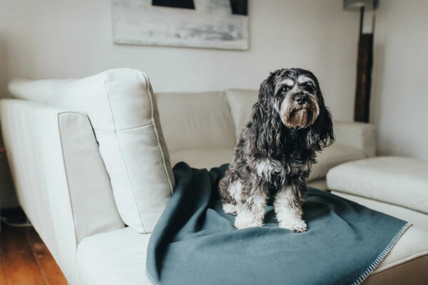 Fleece Hondendeken Antraciet