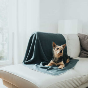 Fleece Hondendeken Antraciet