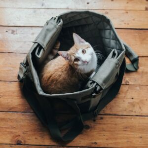 Hondentas & Hondendeken Khaki