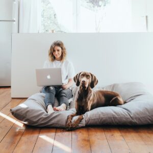 Hondenkussen Groot XXL (175 x 145 CM)