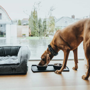 Placemat Siliconen Zwart