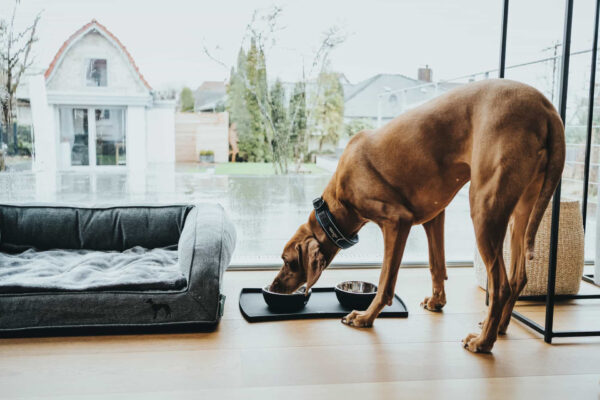 Placemat Siliconen Zwart