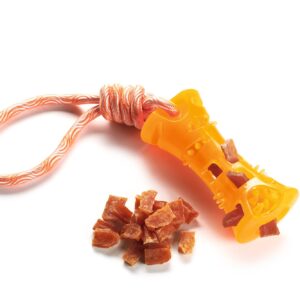 Waterspeelgoed Hondenbot Oranje