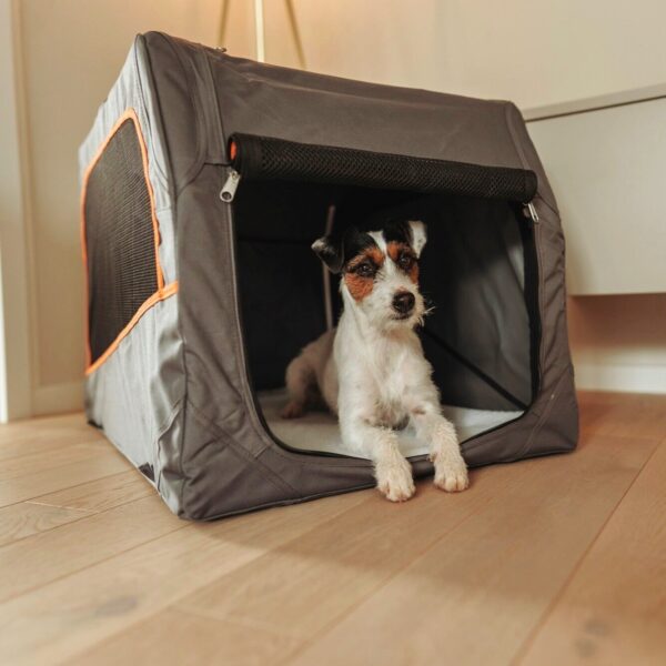 Reisbench Hond Opvouwbaar Grijs