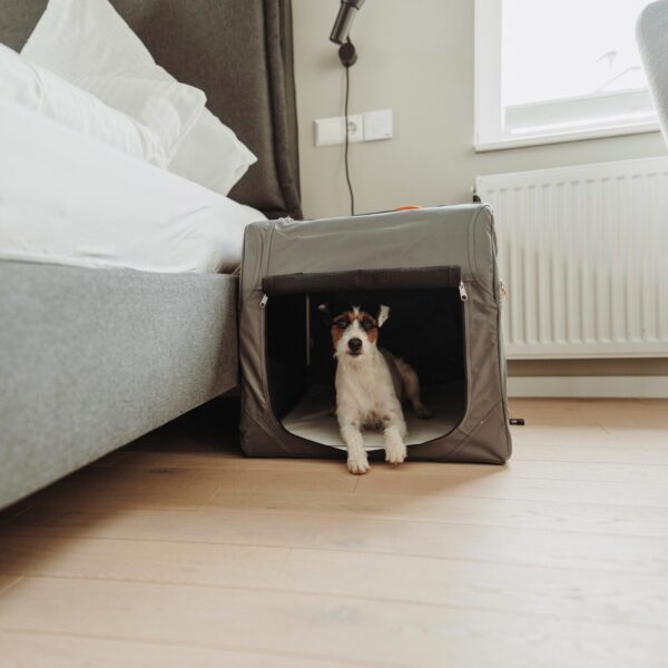 Reisbench Hond Opvouwbaar Grijs