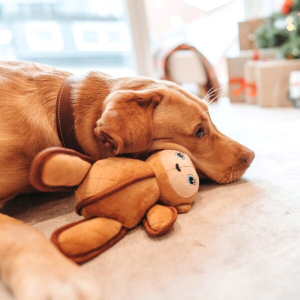 Hondenknuffel Sterke Aap
