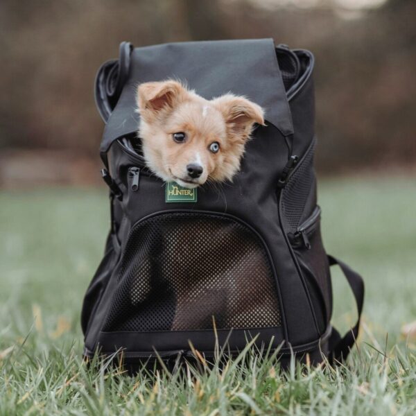 Hondenrugzak & Vliegtas