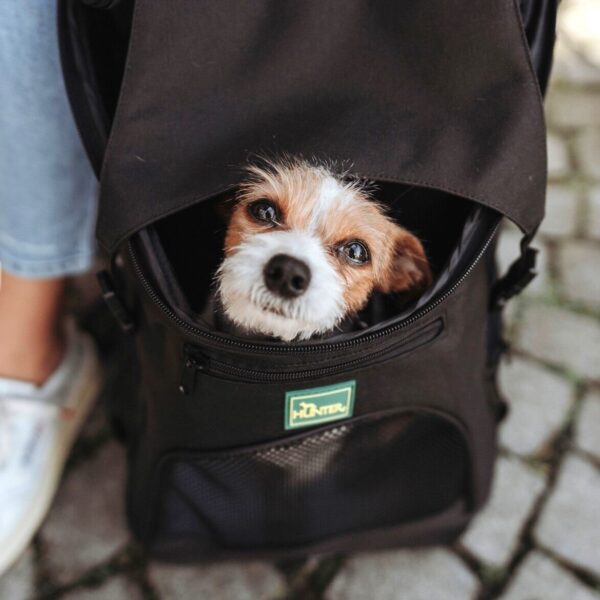 Hondenrugzak & Vliegtas