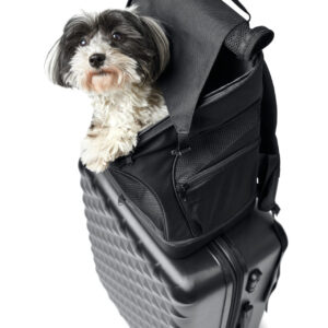 Hondenrugzak & Vliegtas