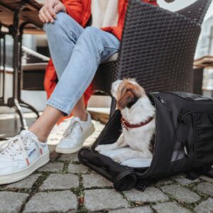 Hondenrugzak & Vliegtas
