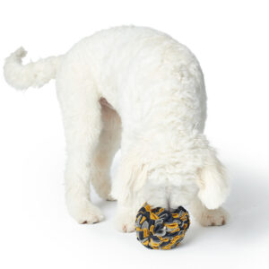 Snuffelbal Hond - 100% Gerecycled Materiaal