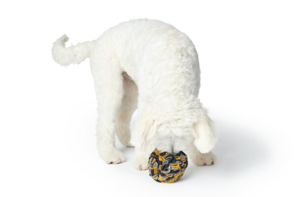 Snuffelbal Hond - 100% Gerecycled Materiaal