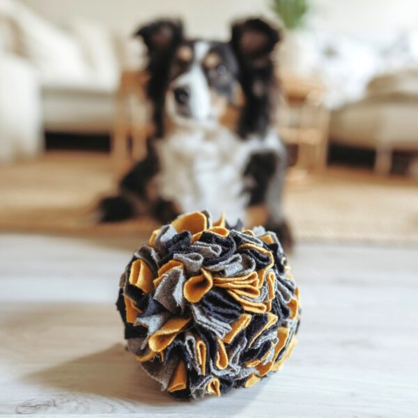 Snuffelbal Hond - 100% Gerecycled Materiaal