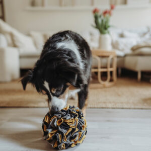 Snuffelbal Hond - 100% Gerecycled Materiaal