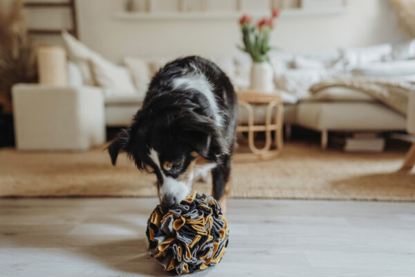 Snuffelbal Hond - 100% Gerecycled Materiaal