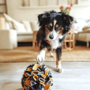 Snuffelbal Hond - 100% Gerecycled Materiaal
