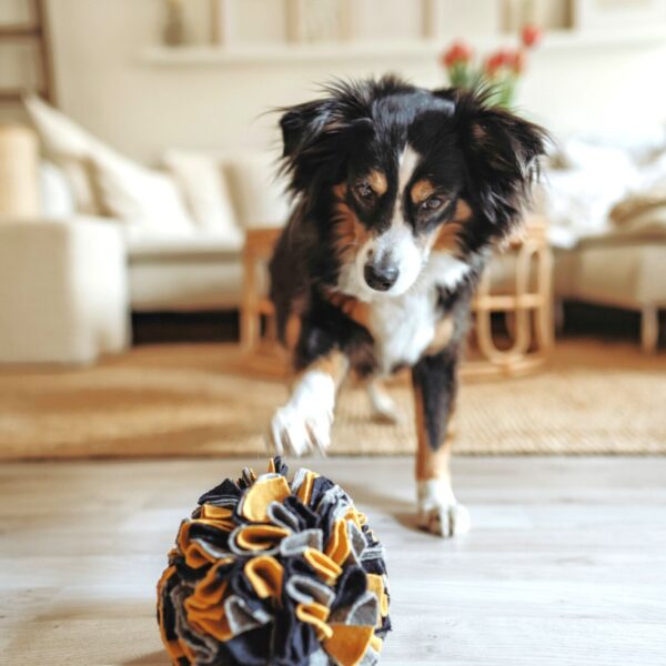 Snuffelbal Hond - 100% Gerecycled Materiaal