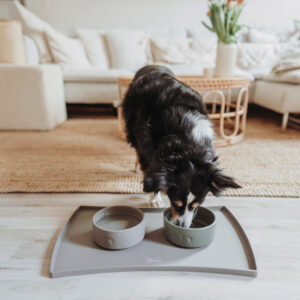 Placemat Siliconen Taupe