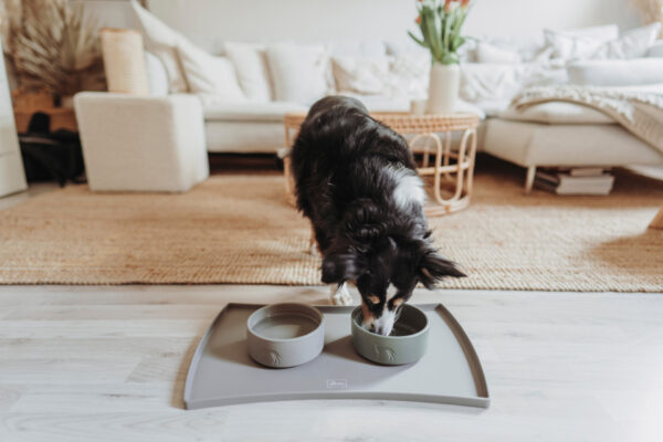 Placemat Siliconen Taupe