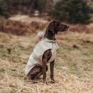 Regenjas Hond Taupe