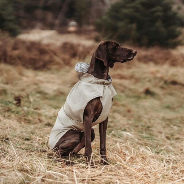 Regenjas Hond Taupe