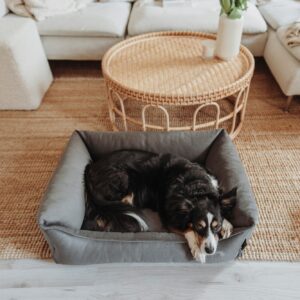 Orthopedische Hondenmand Grijs